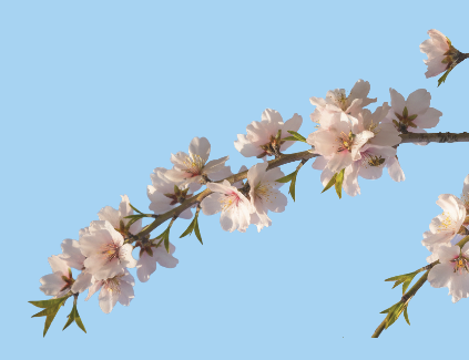 Bildschirmfoto 2026-02-18 um 16.53.11